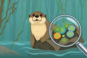 Keystone Species vs Indicator Species: Ecological Roles and Conservation Significance