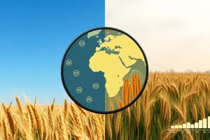 Increasing CO₂ threatens human nutrition