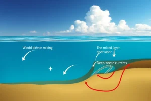 How the Ocean Absorbs Heat From the Atmosphere