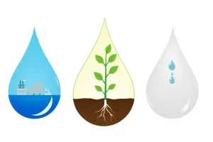 Blue Water vs Green Water vs Grey Water: Understanding the Water Footprint