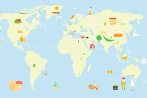 The Global Food System Explained