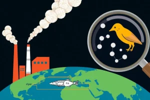 Persistent, Bioaccumulative and Toxic Chemicals: A Comprehensive Overview