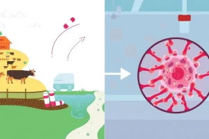 Antibiotic Residues and Antimicrobial Resistance: A Comprehensive Overview